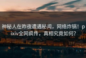 神秘人在昨夜遭遇秘闻，网络炸锅！pixiv全网疯传，真相究竟如何？