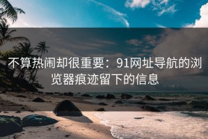 不算热闹却很重要：91网址导航的浏览器痕迹留下的信息