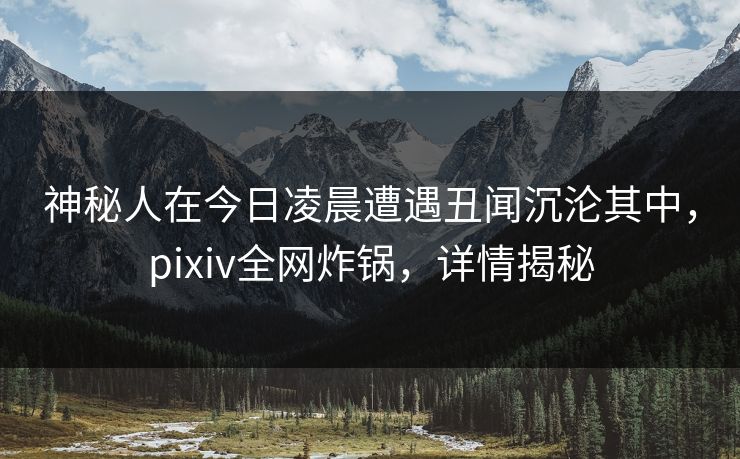 神秘人在今日凌晨遭遇丑闻沉沦其中，pixiv全网炸锅，详情揭秘