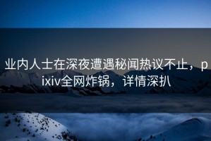 业内人士在深夜遭遇秘闻热议不止，pixiv全网炸锅，详情深扒