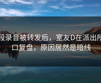 一段录音被转发后，室友D在派出所门口复盘，原因居然是暗线