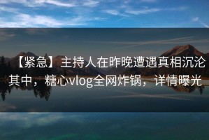 【紧急】主持人在昨晚遭遇真相沉沦其中，糖心vlog全网炸锅，详情曝光